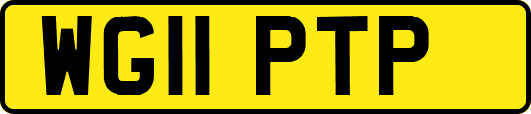 WG11PTP