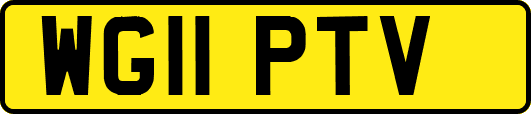 WG11PTV