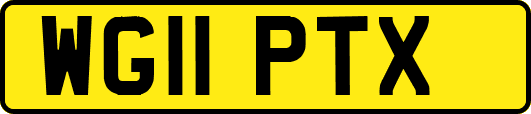 WG11PTX