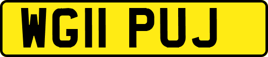 WG11PUJ