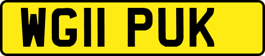 WG11PUK