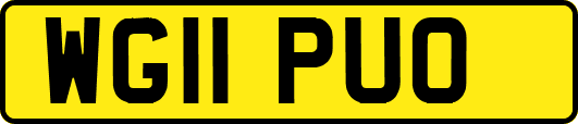 WG11PUO