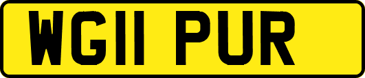 WG11PUR