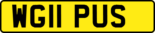 WG11PUS