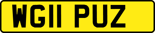 WG11PUZ