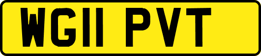 WG11PVT