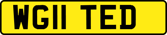 WG11TED