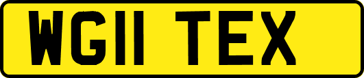 WG11TEX