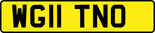 WG11TNO