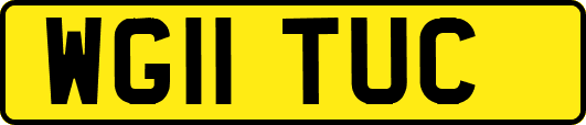 WG11TUC