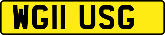 WG11USG