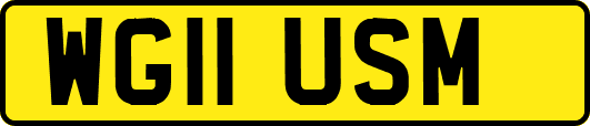 WG11USM