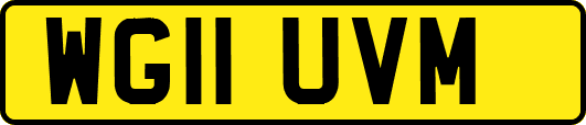 WG11UVM