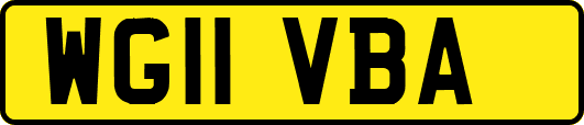 WG11VBA