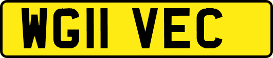WG11VEC