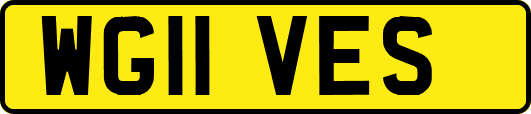 WG11VES