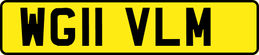 WG11VLM