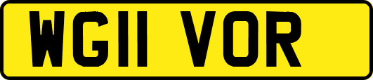 WG11VOR