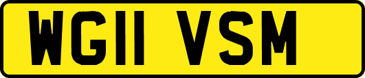 WG11VSM