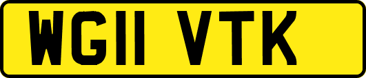 WG11VTK