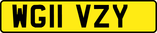 WG11VZY