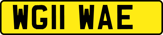 WG11WAE