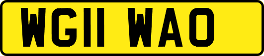 WG11WAO