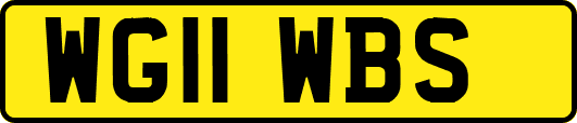 WG11WBS