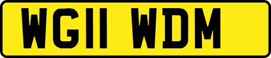 WG11WDM