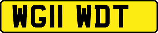 WG11WDT