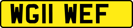 WG11WEF