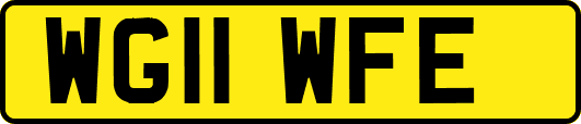 WG11WFE