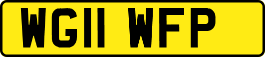 WG11WFP