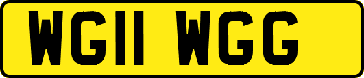 WG11WGG