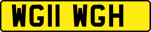 WG11WGH