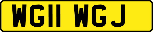 WG11WGJ