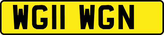WG11WGN