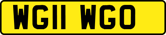 WG11WGO
