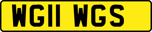 WG11WGS