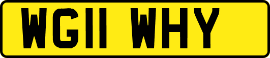 WG11WHY