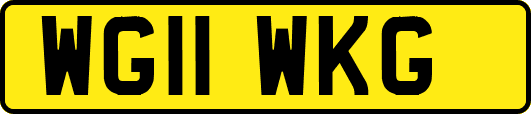 WG11WKG