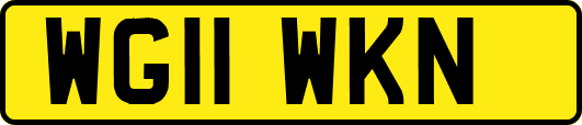 WG11WKN
