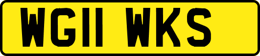 WG11WKS