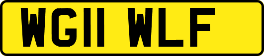 WG11WLF
