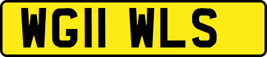 WG11WLS