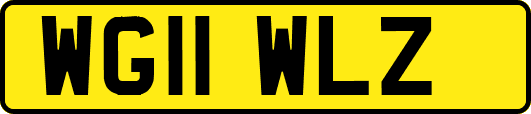 WG11WLZ