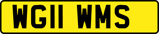 WG11WMS
