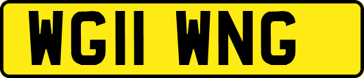 WG11WNG