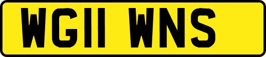 WG11WNS