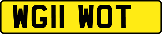 WG11WOT